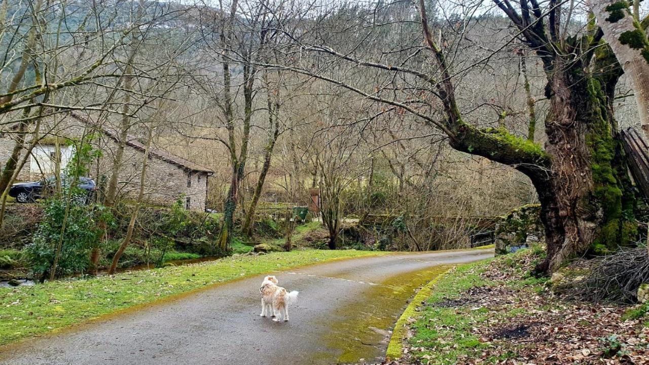 Hotel Rural La Tahona De Besnes アレナス・デ・カブラレス エクステリア 写真